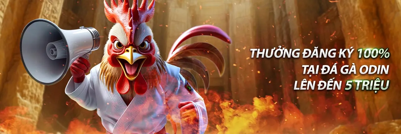 Hình ảnh chào mừng người mới đến với cá cược thể thao 2q bet